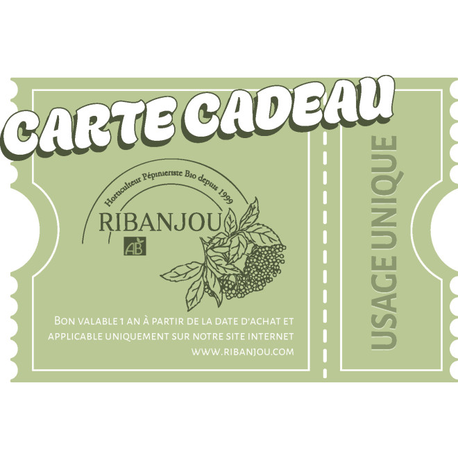 La carte cadeau
