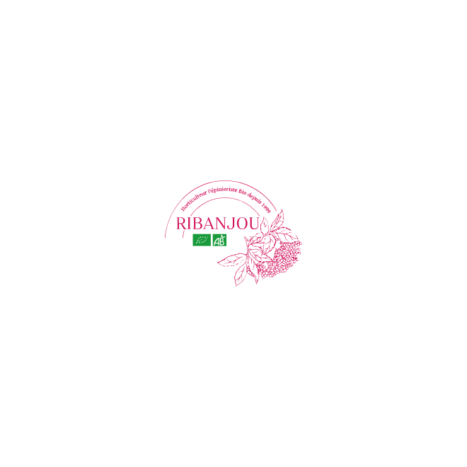 Test produit