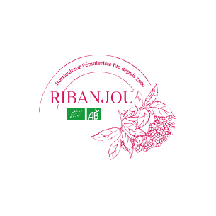 Test produit