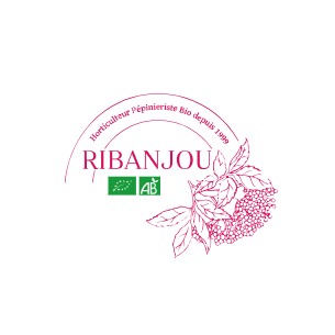 Conseil et expertise technique