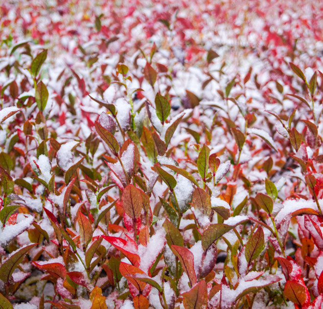 Informations fermeture annuel 